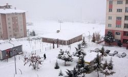 Van'da Kar Yağışı: 61 Yol Kapandı