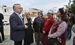 İzmir'de kadın gücü sakız ağacına can katıyor