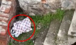 Diyarbakır'da şok olay: Çanta içinde yeni doğmuş bebek bulundu!