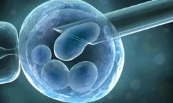 Alabama’da tüp bebek skandalı: Embriyolar çocuk sayıldı!