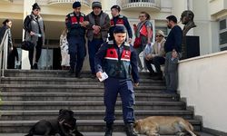 Bodrum'da 6 köpek ve 3 kediyi öldüren zanlı tutuklandı