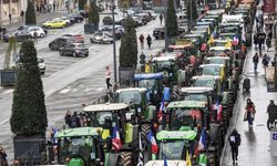 Çiftçilerin protestosu Fransa ve İspanya arasında 'domates' tartışmasına neden oldu