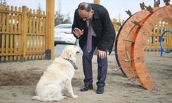Meksika'nın arama kurtarma köpeği Proteo'nun adı Kayseri'de yaşatılacak