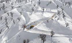 32 yerleşim yerinin yolu kardan kapandı