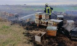 Alevler kovanlara sıçradı, binlerce arı öldü