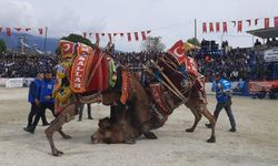 Demre'de deve güreşleri düzenlendi