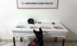 Kırklareli'de kaçak içki ve uyuşturucu operasyonunda 6 gözaltı