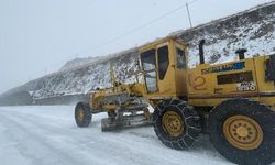 Ulaşıma kapatılan Kars-Ardahan kara yolu açıldı