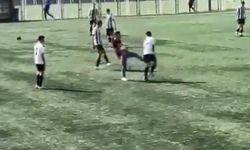 Altaylı Genç Futbolculara Saldıran Holigan Yakalandı