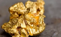 Fatsa'daki altın madeni faaliyetleri durduruldu
