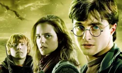 Harry Potter ve Fantastik Canavarlar Serisi BluTV'de İzleyicilerle Buluşuyor
