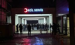Mardin'de 18 Yaşındaki Genç, Silahla Vurulmuş Halde Bulundu