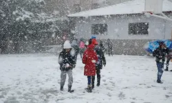 Van'ın 3 ilçesinde okullara kar tatili