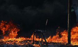 Şili'de orman yangınında 19 kişi hayatını kaybetti