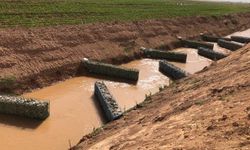 Perdeli yapay sulak alan sistemi, tarımda su israfını azaltıyor