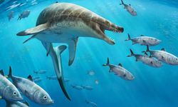 66 milyon yıl önce yaşamış dev deniz kertenkelesi türü keşfedildi