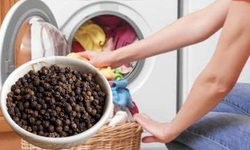 Çamaşır makinesine karabiber konursa nolur?