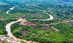 Ölüm Ormanı: 106 Kilometrelik Bitmeyen Kabus