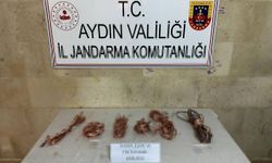 Aydın'da hırsızlık yaptıkları iddiasıyla yakalanan 3 zanlı tutuklandı