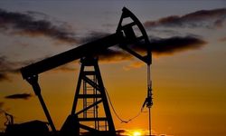OPEC'in petrol üretimi şubatta artarak 26,5 milyon varile yükseldi