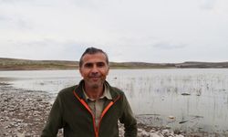 Baharın müjdecisi flamingolar, Tuz Gölü’ne kuluçka için gelmeye başladı