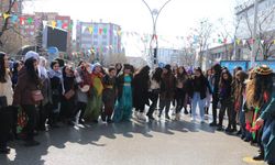 DBP Eş Genel Başkanı Uçar'dan CHP'nin Afyonkarahisar adayı Köksal'a tepki