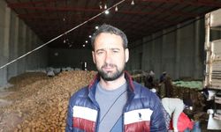 Sandıklı'nın patatesleri Türkiye'yi besliyor