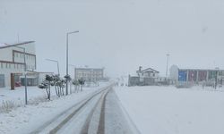 Sivas'ın yüksek kesimlerinde kar etkili oldu