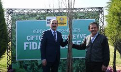 Konya'ya 17 milyon fidan ve fide desteği
