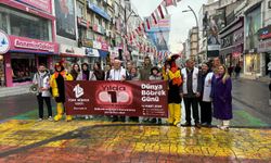 Türk Böbrek Vakfı’ndan 'Senede Bir Gün' çağrısı!