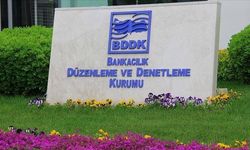 BDDK'den bir şirkete faaliyet izni