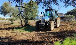 İzmir Büyükşehir Belediyesi, Çiftçilere Destek Olmak için Kendi Arazilerini Üretime Açtı