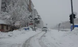 Bitlis'te Kar Yağışı Nedeniyle 103 Köy Yolu Ulaşıma Kapandı: Çığ Uyarısı Yapıldı