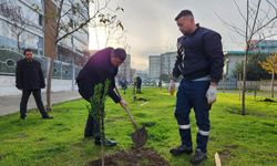 Karşıyaka'ya 5 yılda 40 yeni park 600 bin metrekare yeşil