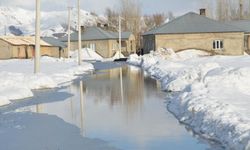 Yağışlar nedeniyle bazı evleri su bastı