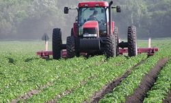 Tarım ÜFE verileri açıklandı: Yıllık bazda yüzde 58,29 artış