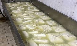 İzmir'de tarihi geçmiş yaklaşık 20 ton peynir imha edildi