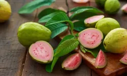 Guava meyvesi nedir? Guava meyvesinin faydaları nelerdir?