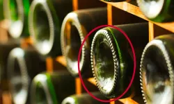 Şarap Şişelerindeki Gizem: Alttaki Bombe ve Çentiklerin Şaşırtıcı İşlevi!