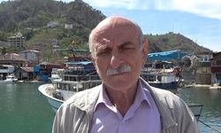 Trabzon'da sahilde ölü yunus bulundu