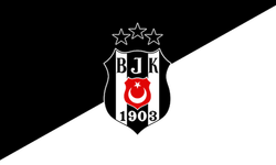 Beşiktaş'tan seçim tarihine tepki