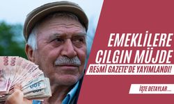 Emeklilere Çılgın Müjde: Resmi Gazete'de Yayımlandı!