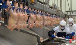 Beyaz et sektöründeki 4 firmaya 1,2 milyar lira ceza!