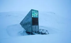 O Adada Ölmek de Doğmak da Yasak! İlginç Yasakların Anavatanı Svalbard Takımadaları