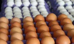 Yumurtayı Temizlemenin Doğru Yöntemi: Sirke ve Karbonat Mucizesi!