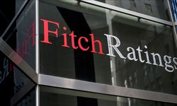 Fitch'ten gelir artışı öngörüsü