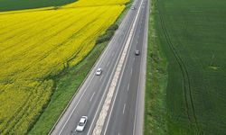 Kanola ve buğday tarlaları, sürücülere renkli rota sunuyor