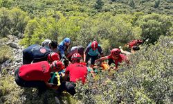 Kayalıklara düşen yamaç paraşütü pilotu yaralandı