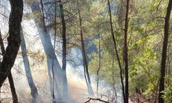 Balıkesir'de orman yangınında 1 hektar alan zarar gördü