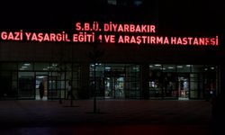 Diyarbakır'da silahlı 'hayvan otlatma' kavgası: 1 ölü, 1 yaralı